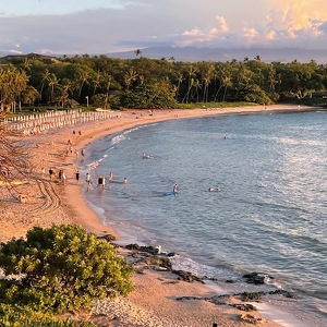 Fundraising Page: Leslie Arendt